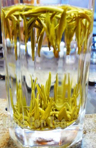 Jun-Shan-Yin-Zhen-02