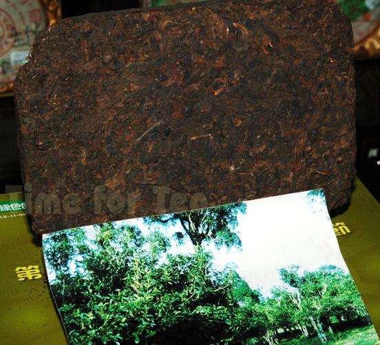 Puer-40-let