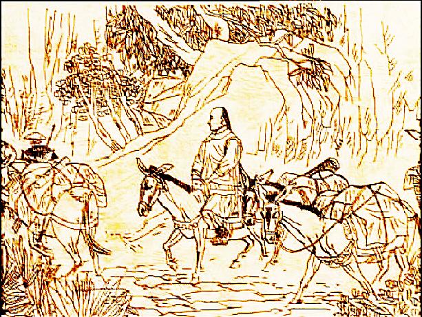 about-puer-cha-21