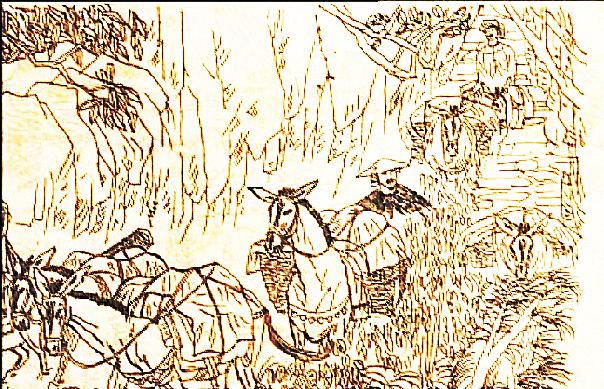 about-puer-cha-20