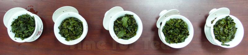 Sravnenie-Tie-Guan-Yin-12-02