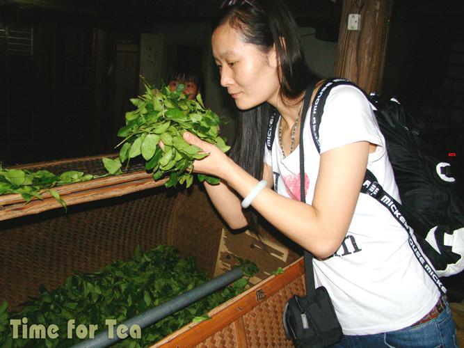 Lu-Zhi-Don-07