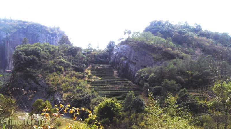 Lu-Zhi-Don-12