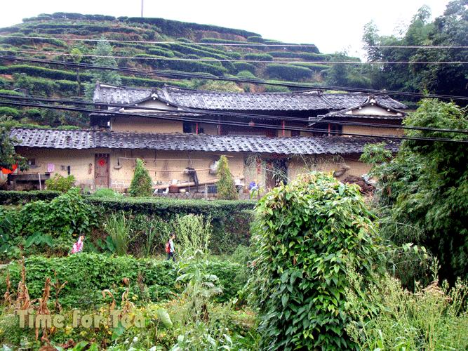 Lu-Zhi-Don-06