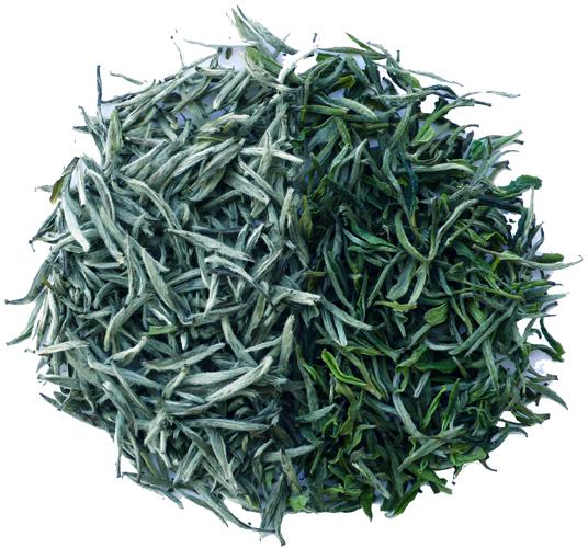 White-Tea