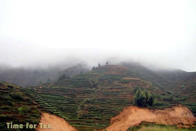 Lu-Zhi-Don-05