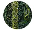 Nabor-zelenih-chaev-00-green tea
