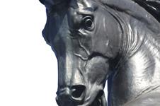 Leonardo`s Horse