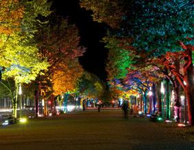 Unter den Linden
