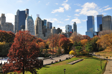 Central Park
