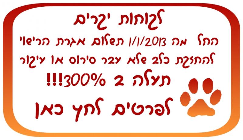 אגרה מוגדלת1