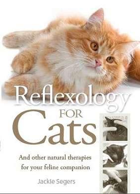 Reflexology for cats
