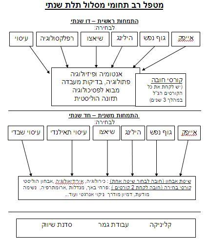 מטפל רב תחומי
