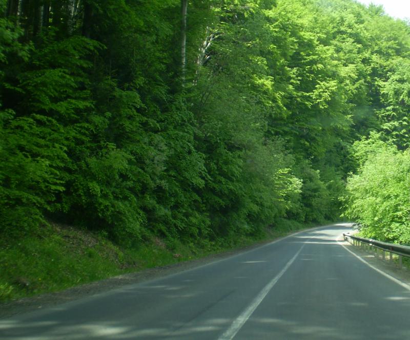 כביש ברומניה-הדרך