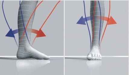 3D Flex View
