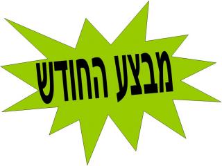 מבצע החודש