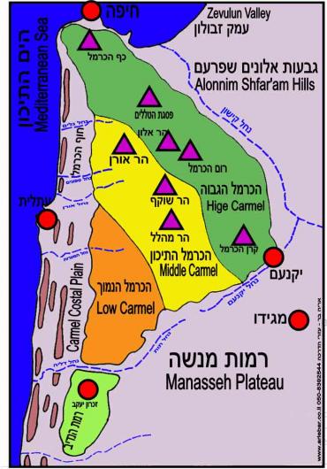 יחידות נוף בכרמל