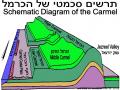 תרשים סכמטי של הכרמל