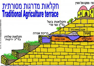 חקלאות מדרגות מסורתית