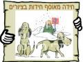 קור כלבים