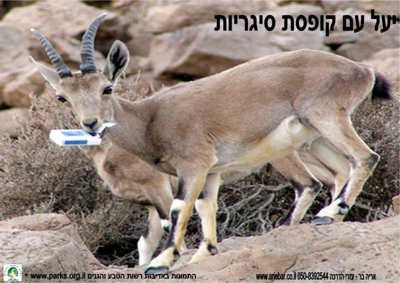 שמירת טבע 6