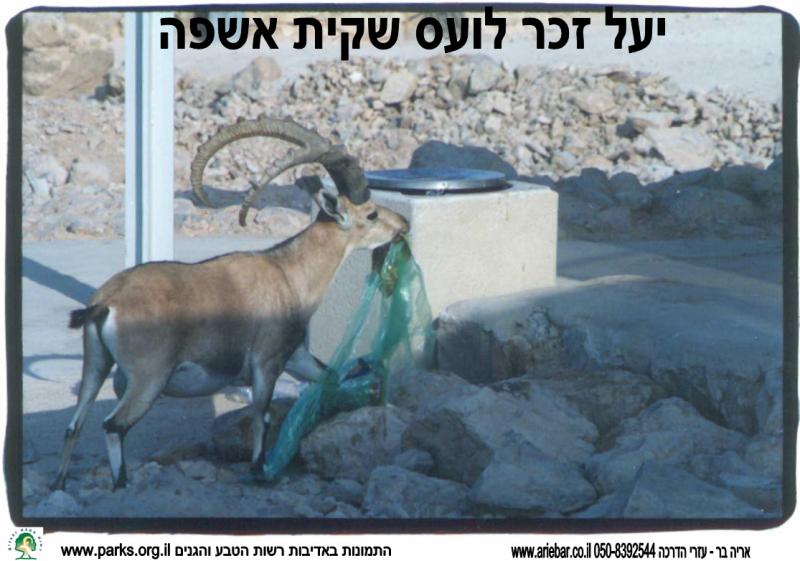 שמירת טבע 4