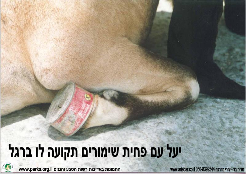 שמירת טבע 3