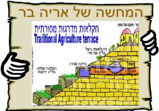 חקלאות מדרגות 