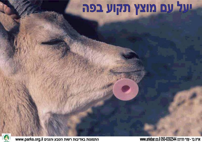 שמירת טבע 2