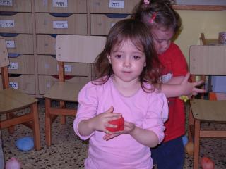 כדורי גרביים