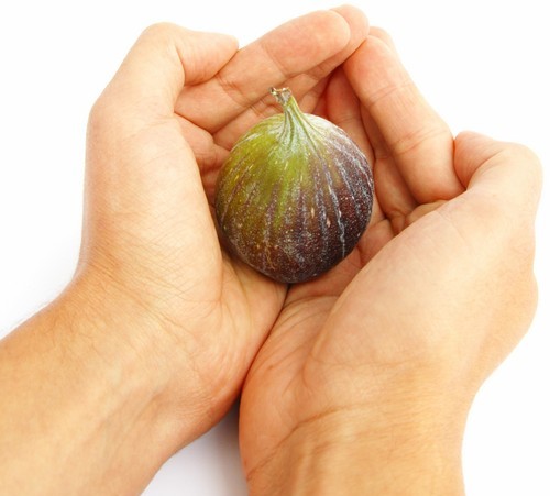 תהליכי מיתוג באינטרנט בסדנא