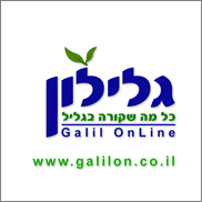 יועץ עסקי גלילון יועץ עסקי גלילון
