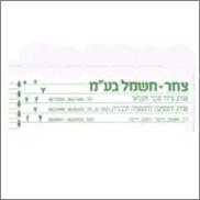 יועץ עסקי צ.ח.ר חשמל בע"מ יועץ עסקי צ.ח.ר חשמל בע"מ