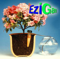 Azigen - 01 - Small