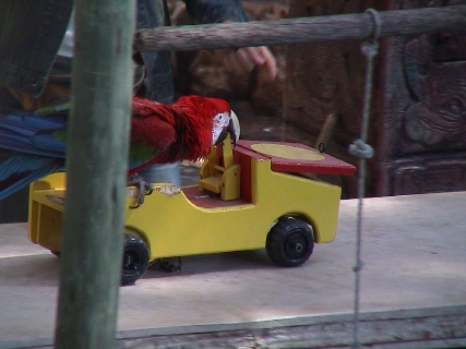 DSC00001