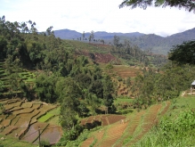 ethiopia regional dev