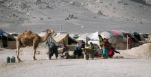 afganistan rgional dev kutchi