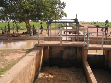 nigeria regional dev