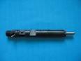 delphi injector