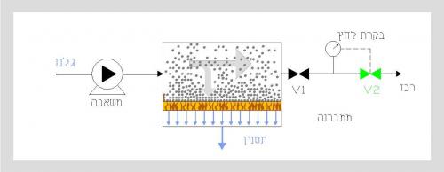 KOCH membrane - תרשים 1