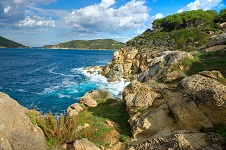 Livorno1