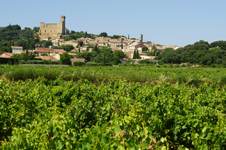 Châteauneuf du Pape226X150 copy