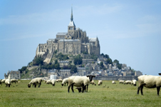 Normandy226X150 copy