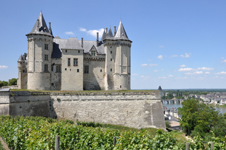 Château de Saumur226X150 copy