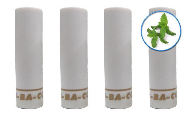 פילטר מנטה X4 copy