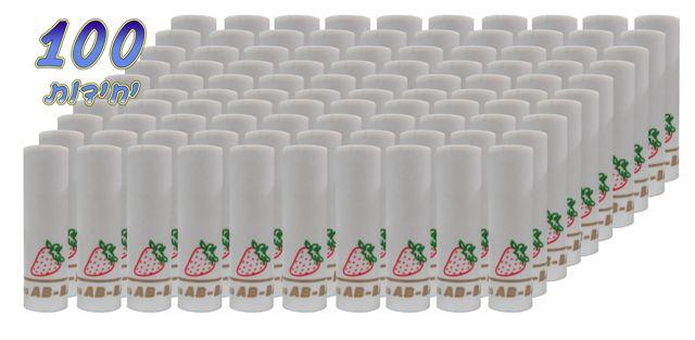 פילטר תות X100 copy