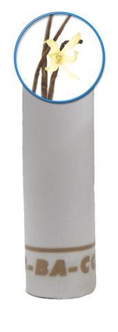 פילטר וניל copy